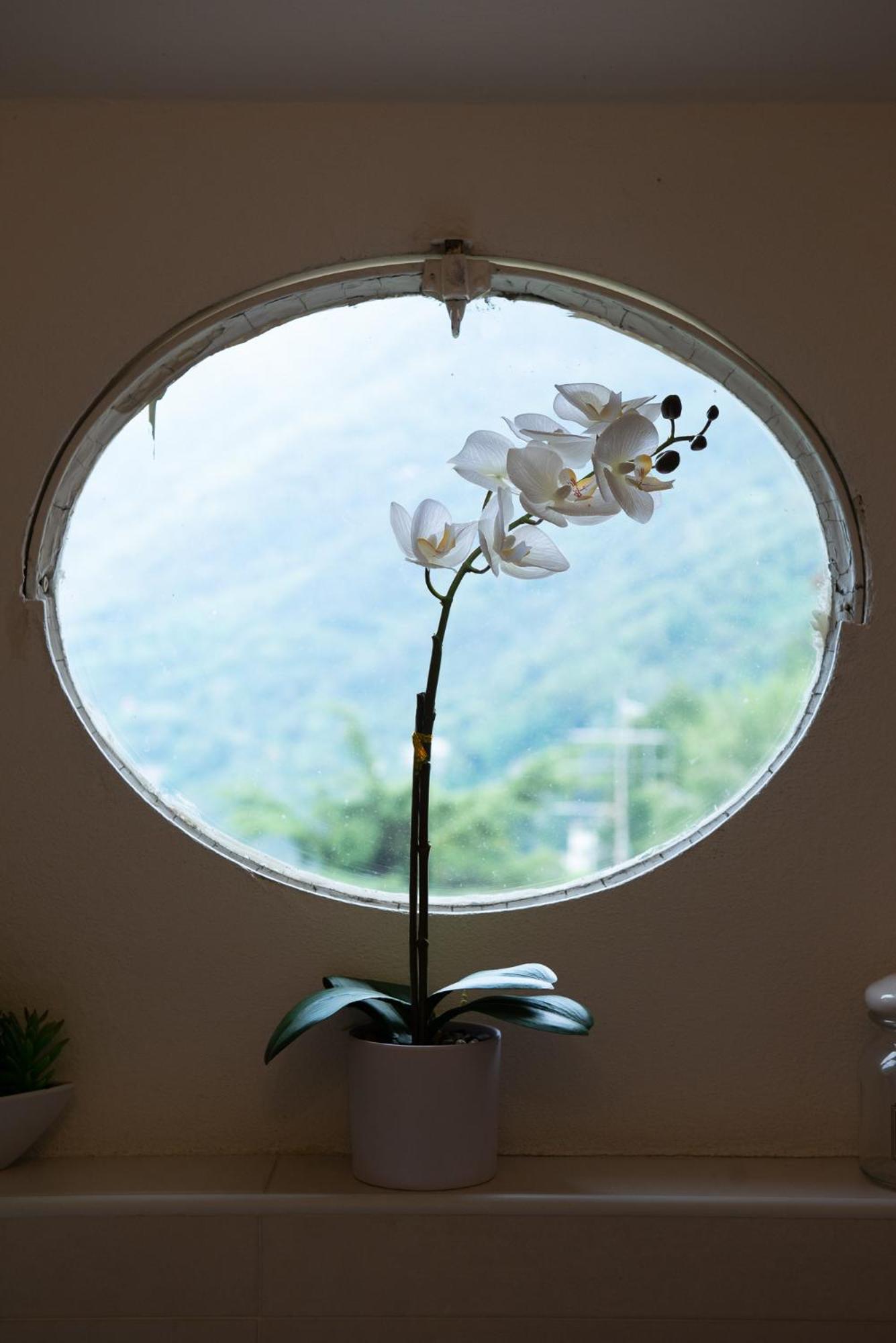 Appartamento "Bella Vista" Sul Lago Di Como Faggeto Lario Extérieur photo